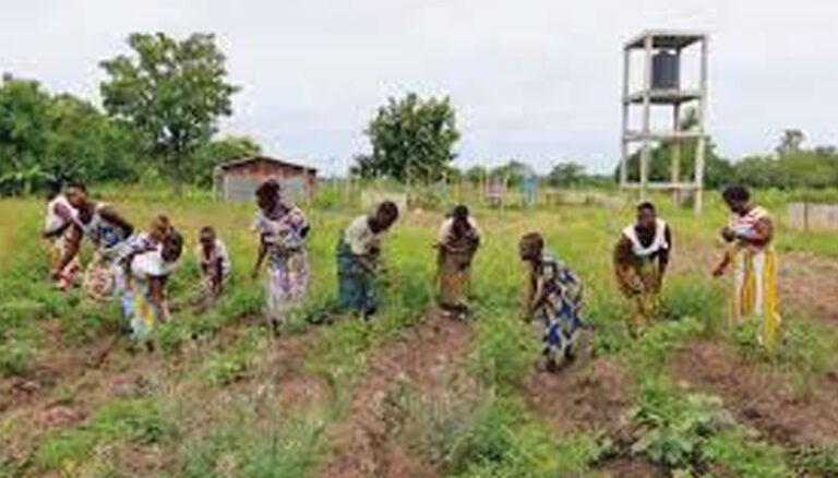 Pour une meilleure connaissance sur l’évolution du climat : Bénin météo informe et forme les acteurs du monde agricole de la Donga