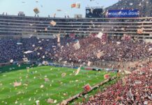 Betmomo ou Betwinner : Que choisir au Cameroun ?