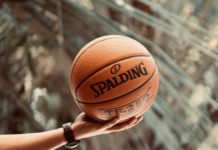 Les sports les plus faciles à parier : conseils pour les débutants