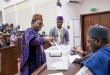 Révision de la Constitution Mandat limité : les députés sautent le verrou