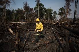 COP30 au Brésil : Entre engagements ambitieux et espoirs pour l’Afrique de l’Ouest