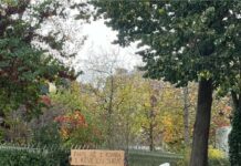 Profil d’artiste: Un humoriste pétri de talent dans l’univers artistique au Bénin