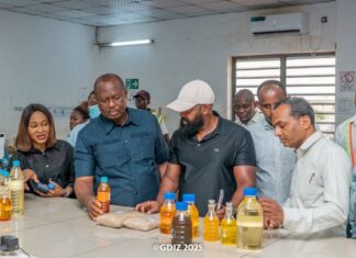 Proposition de traduction: Renforcement du commerce intra-africain à la GDIZ