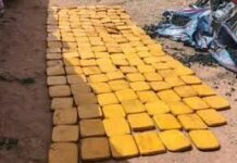 Malanville: 165 plaquettes de cannabis saisies