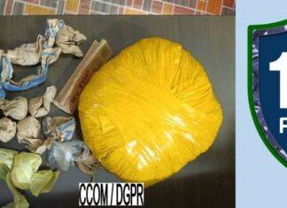 Trafic de drogue: Un couple arrêté en possession de chanvre indien à Bassila