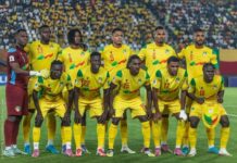 Coupe d’Afrique des Nations, Maroc 2025: Deux nouveaux forfaits actés dans le rang des Guépards