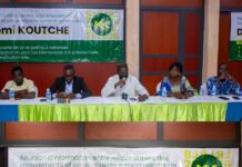 Pour une consultation nationale inclusive: Les réseaux proches de Komi Koutché se remobilisent