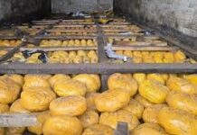 Saisie de 2,5 tonnes de drogue à Bétérou: Les réseaux criminels ont adapté leur stratégie