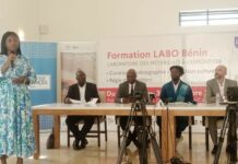 Promotion des arts visuels au Bénin: Le projet Labo Bénin mis sur pied pour révolutionner le monde des arts visuels
