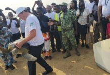 Lâcher de plus de 500 tortues marines: Le Pac réaffirme son engagement envers la gestion de la biodiversité
