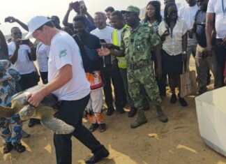 Lâcher de plus de 500 tortues marines: Le Pac réaffirme son engagement envers la gestion de la biodiversité