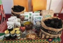 Énergie propre: La REINE ÉCOLO, une solution locale pour l’afrique