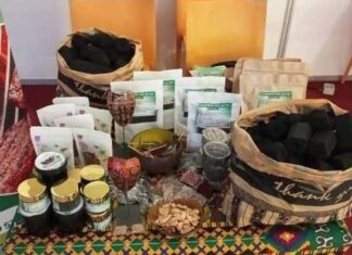 Énergie propre: La REINE ÉCOLO, une solution locale pour l’afrique