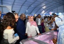 Seafood 4 Africa 2026: L’économie bleue, levier stratégique pour l’Afrique