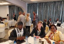 Mise en œuvre de la réglementation des peintures au plombs en Afrique: L’ANM participe aux échanges à Lomé