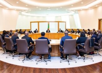 Cumul de ministères au Bénin: Quels sont les vrais enjeux ?