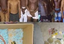 Porto-Novo et Ekpè: Plusieurs interpellations liées aux trafics de produits illicites