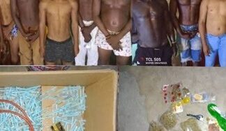 Porto-Novo et Ekpè: Plusieurs interpellations liées aux trafics de produits illicites