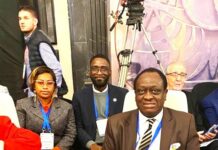 Justice constitutionnelle africaine en débat: Le Bénin présent à la 9e réunion de haut niveau au Caire