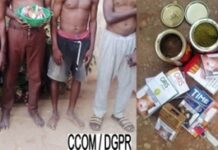 Bénin: Saisies de munitions et de produits psychotropes