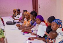 Cartographie numérique des arbres à karité: Des coopératives dans une dynamique de gestion durable des parcs