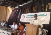 Vie associative dans le secteur de la culture: Le Ricc-Bénin porté sur les fonts baptismaux