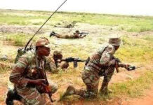 Des villes sous le feu des munitions à blanc: Alligator sort de ses eaux calmes