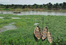 Commune nourricière face aux défis du climat et du développement Adjohoun : grenier agricole entre terre et eau
