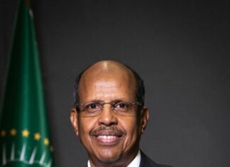 De la résolution à la réalité : concrétiser l’accès à l’eau et à l’assainissement pour « l’Afrique que nous voulons »