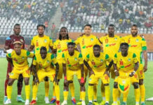 Journée FIFA, Mars 2026: Un nouveau forfait chez les Guépards