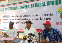 Conseil National du parti « Les Démocrates »: Nourénou Atchadé, le nouveau patron