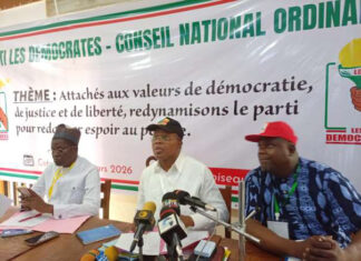 Conseil National du parti « Les Démocrates »: Nourénou Atchadé, le nouveau patron