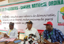 Conseil National du parti « Les Démocrates »: Nourénou Atchadé, le nouveau patron