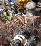 Lutte contre les trafics et le vol: Saisies de produits prohibés et arrestation de fugitifs