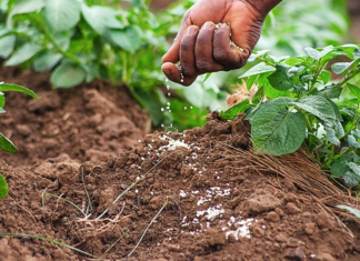 Campagne agricole 2026-2027: Top départ à N’Dali, le grand saut vers l’autosuffisance dès ce jour