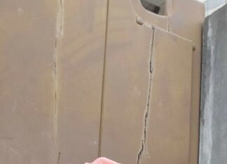 Vote massif en faveur du duo Wadagni-Talata à Sèmè-Podji: Albert Koumagnon reconnaissant envers sa famille et alliés