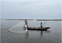 Régénération des ressources halieutiques au Bénin: La pêche suspendue pour un mois de repos biologique