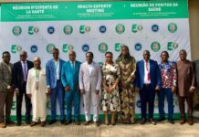 27ᵉ Assemblée des ministres de la Santé de la Cedeao: Des experts mobilisés autour des enjeux