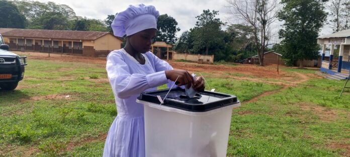 WhatsApp Image 2026-04-12 at 14.09.11