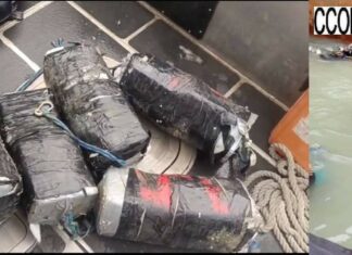 Trafic de drogue au port de Cotonou: Plus de 90 kg de cocaïne saisis