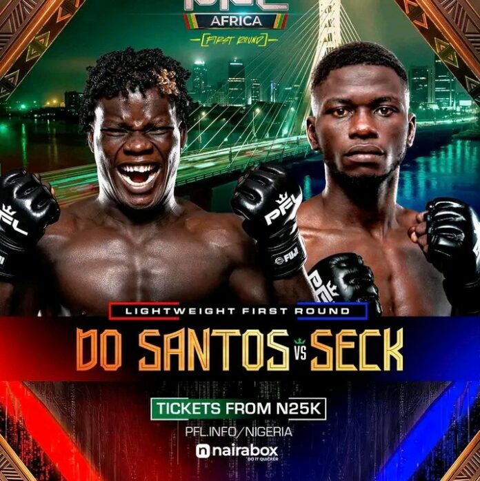 MMA (1)