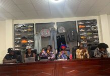 Parana City Vogue: La mode autrement !