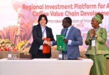 À Marrakech, l’Afrique reprend la main sur son café: African Coffee Hub, appuyé par la BID, lance le Programme Régional