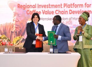 À Marrakech, l’Afrique reprend la main sur son café: African Coffee Hub, appuyé par la BID, lance le Programme Régional