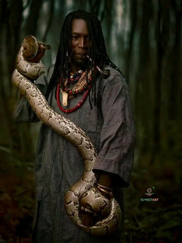 Faune