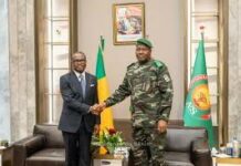 Premières actions hors du Bénin: Wadagni démarre sa diplomatie par l’arc du Sahel