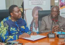 Coopération Sud-Sud La République centrafricaine s’inspire du modèle béninois de la filière coton