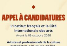 Développement des projets de création L’institut français lance un programme de résidence