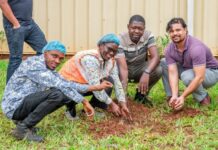 Mois de l’environnement 700 plants mis en terre à la GDIZ