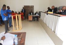 Justice De lourdes peines contre trois braconniers condamnés à Djambala